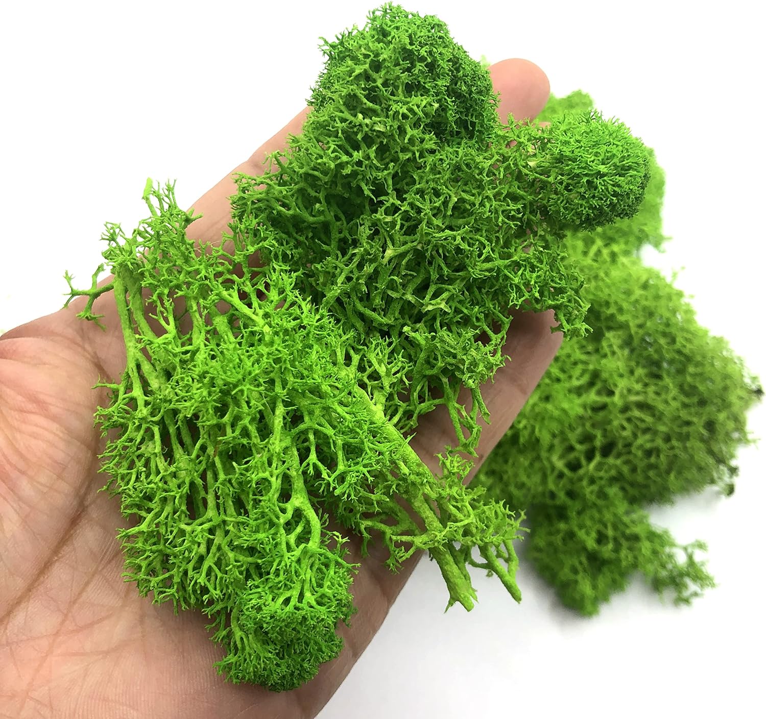 Sphagnum Moss Dry - 200 г искусственные зеленые растения, мини-пейзаж,