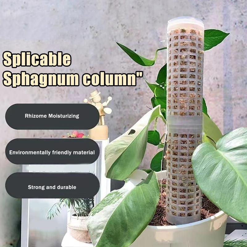 Sphagnum Moss Dry - Набор из 6 пластиковых опор для