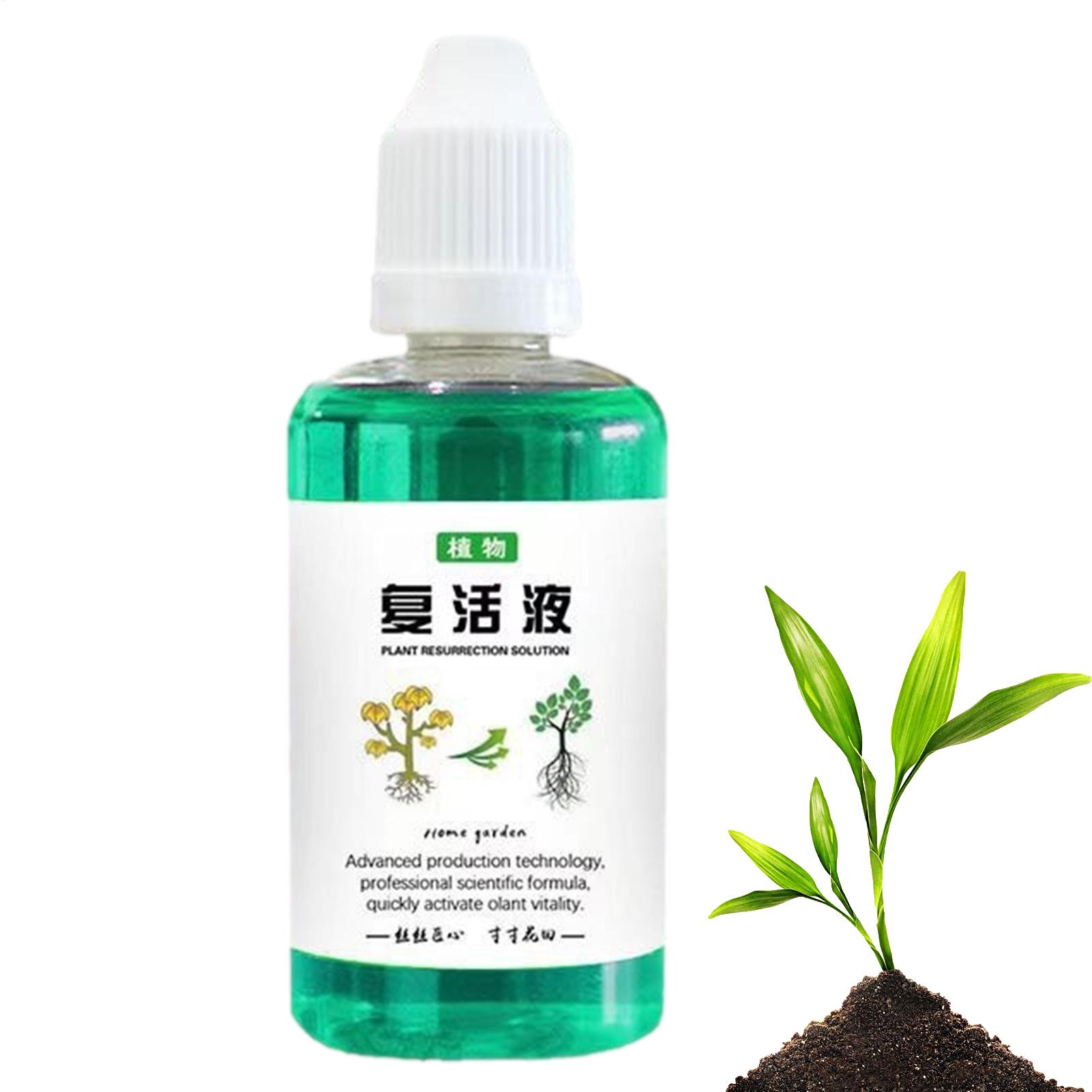 50 мл Стимулятор корнеобразова – обзор и цена Root Stimulator Liquid
