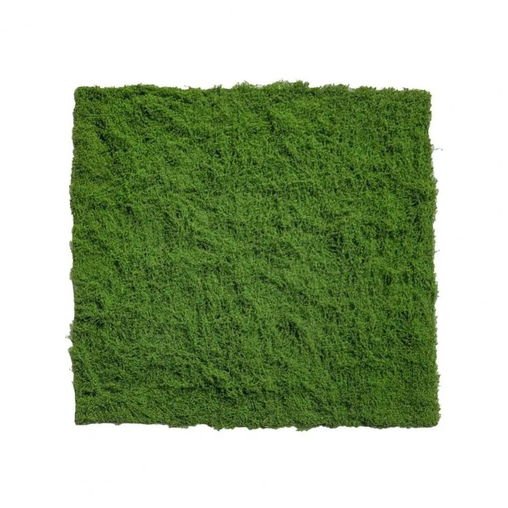 Искусственный газон DIY: Прочн – обзор и цена Sphagnum Moss Dry