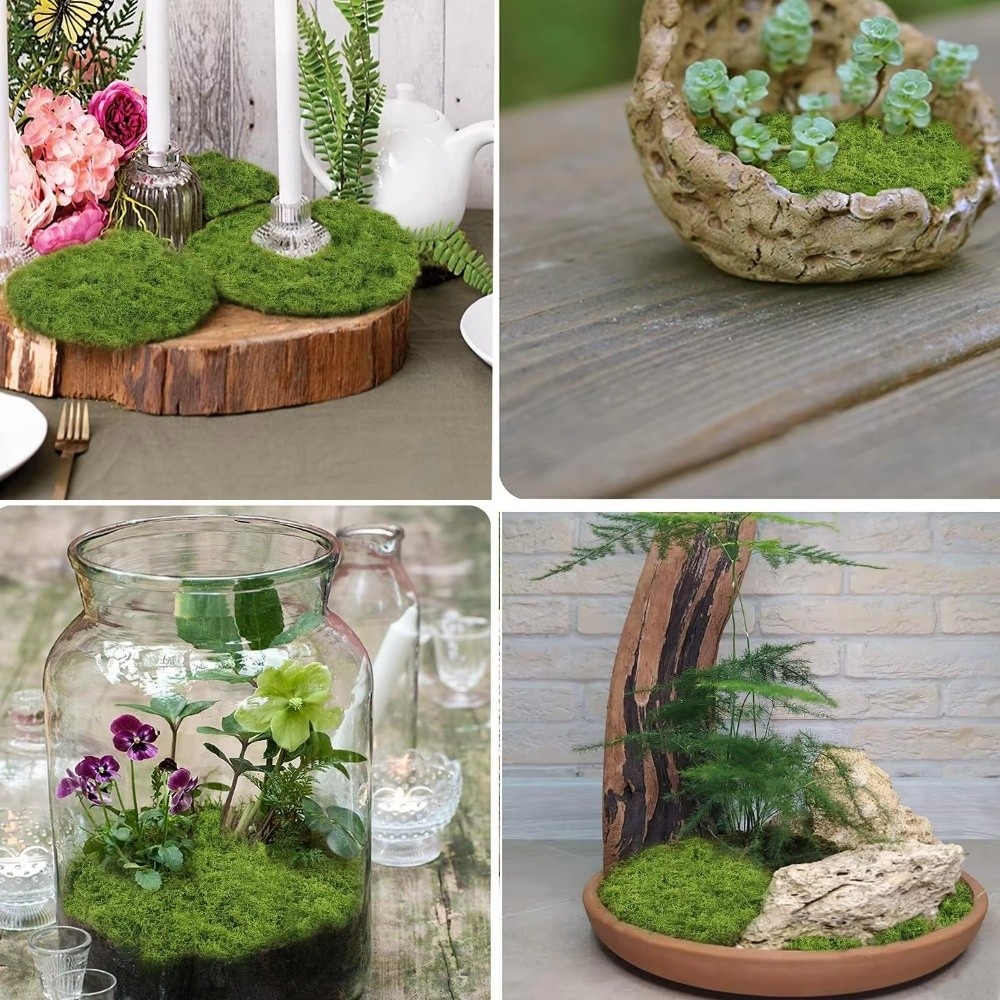 Искусственный газон DIY: Прочн – обзор и цена Sphagnum Moss Dry