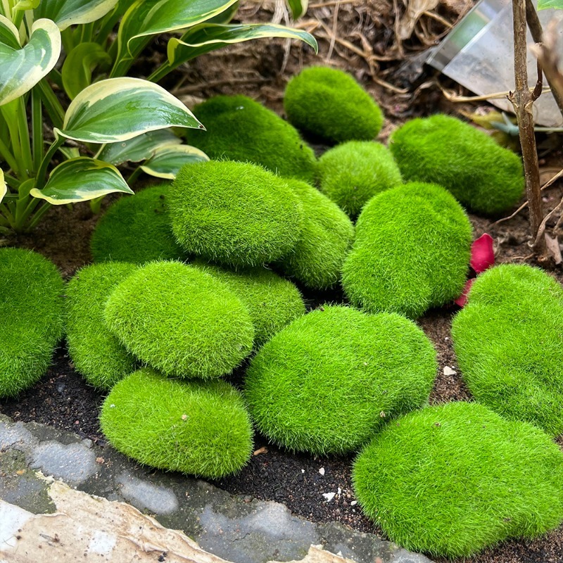 5/30 шт. Искусственные камни-м – обзор и цена Sphagnum Moss Dry