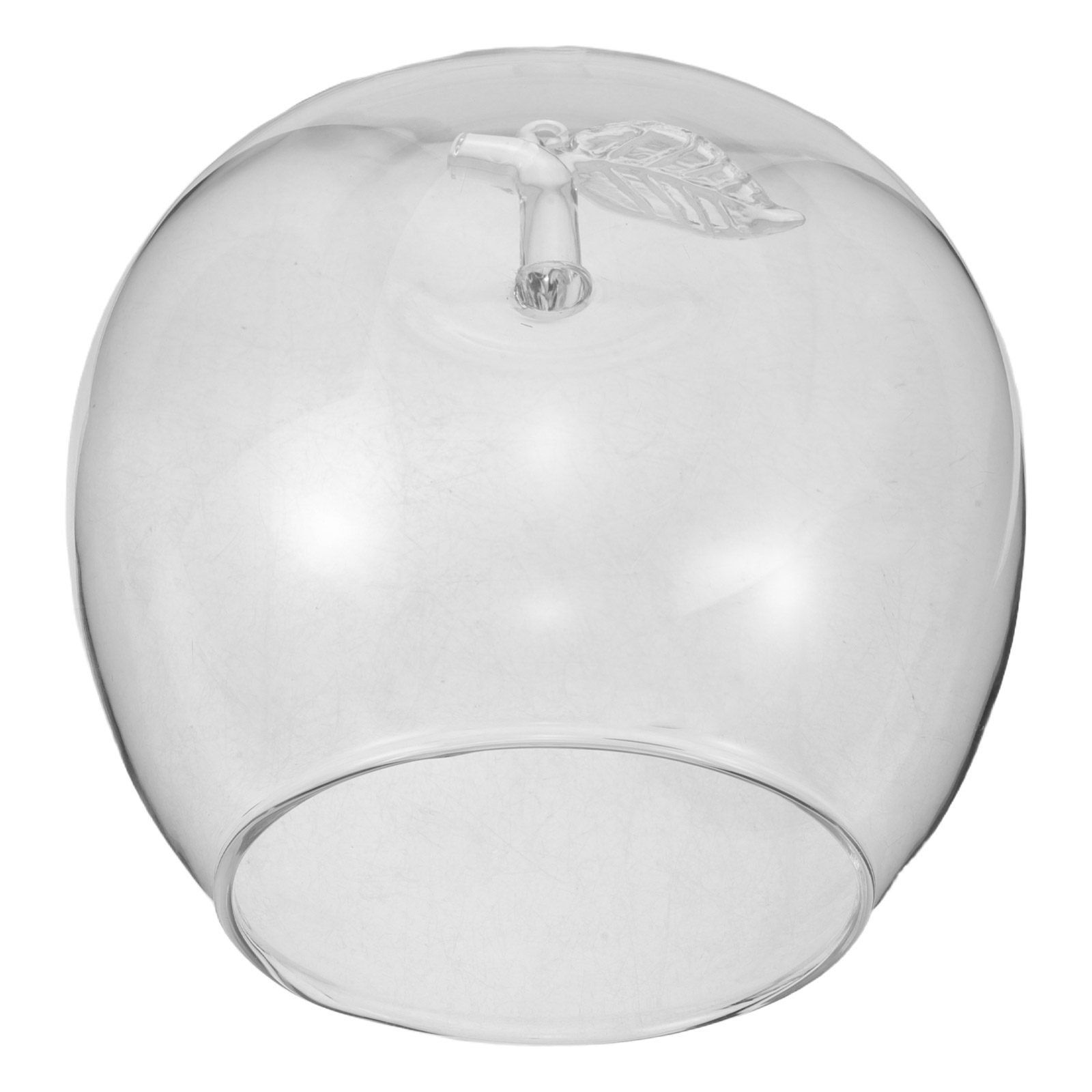 Стеклянный купол в форме фрукт – обзор и цена Plastic Dome Clear