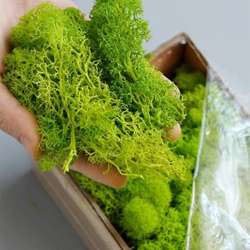 Искусственный мох Eternal Life – обзор и цена Sphagnum Moss Dry