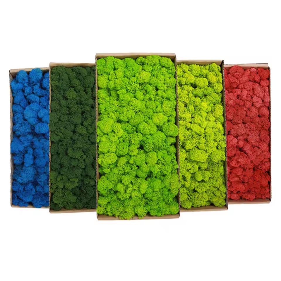 20-200 г искусственные зеленые – обзор и цена Sphagnum Moss Dry