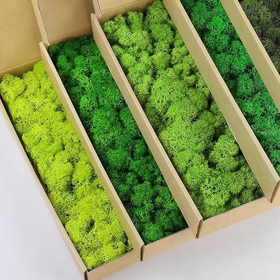 20-200 г искусственные зеленые – обзор и цена Sphagnum Moss Dry