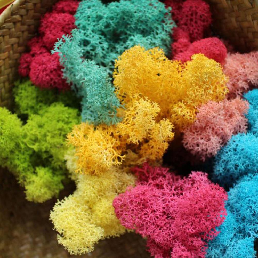 Искусственное растение вечная  – обзор и цена Sphagnum Moss Dry