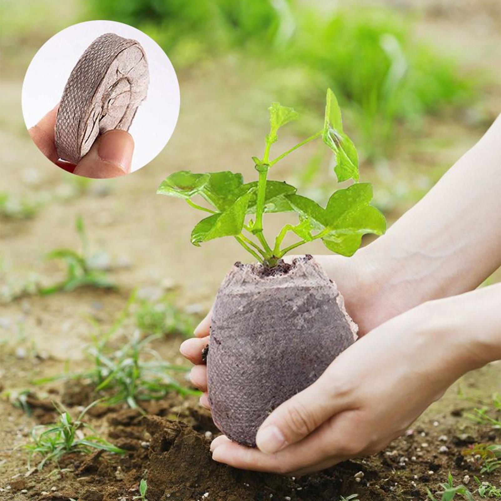 100 штук поддонов для рассады, – обзор и цена Peat Pellet Tray