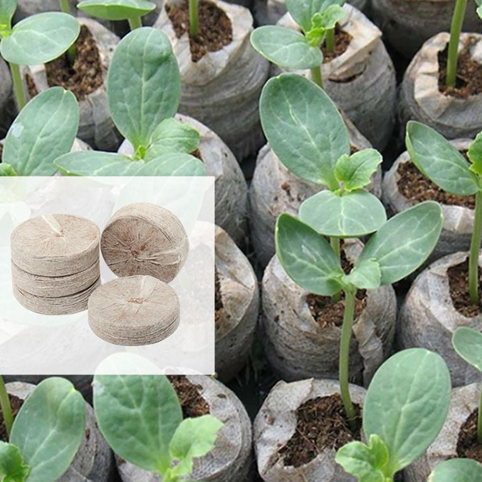 100 штук поддонов для рассады, – обзор и цена Peat Pellet Tray