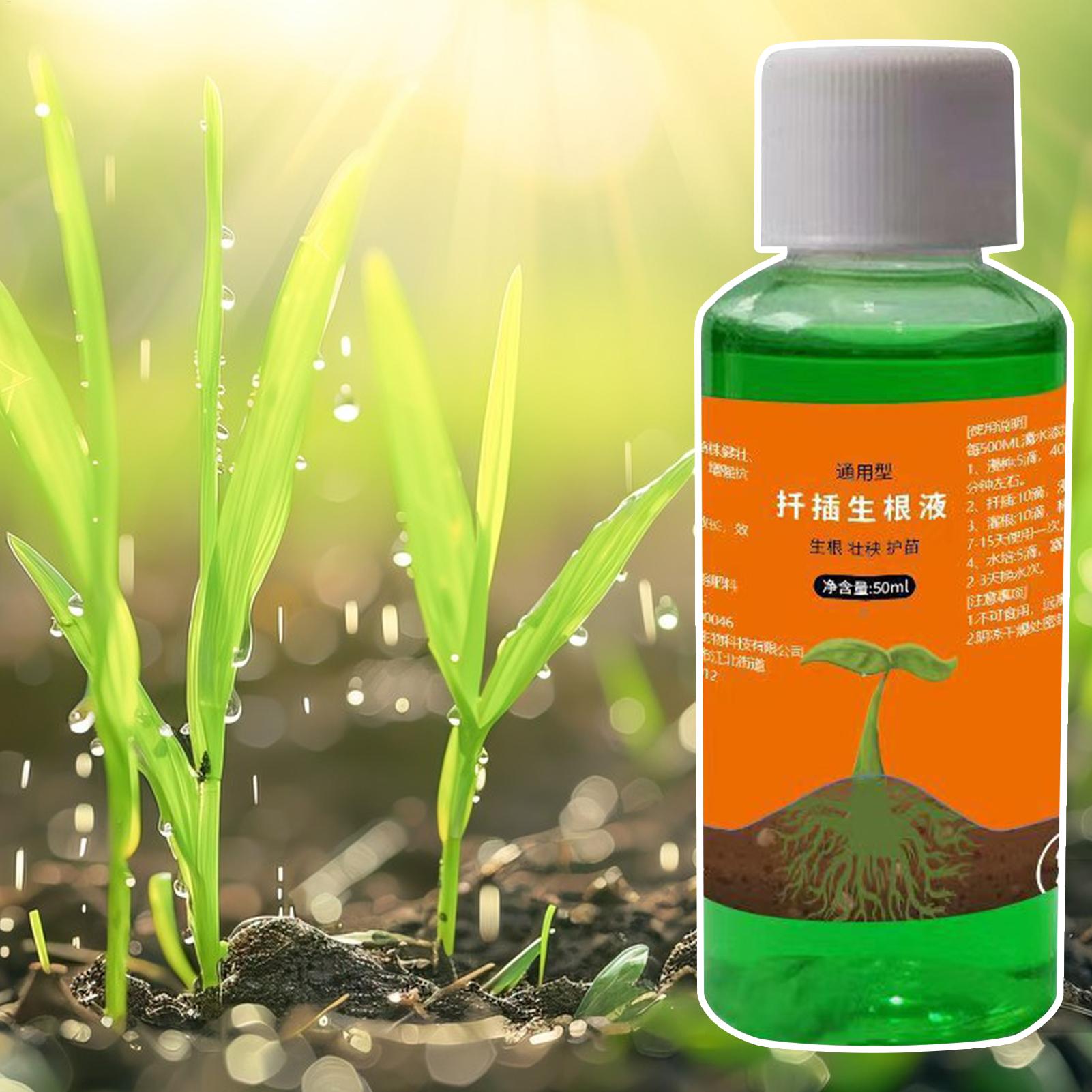 Высокоэффективный стимулятор к – обзор и цена Root Stimulator Liquid