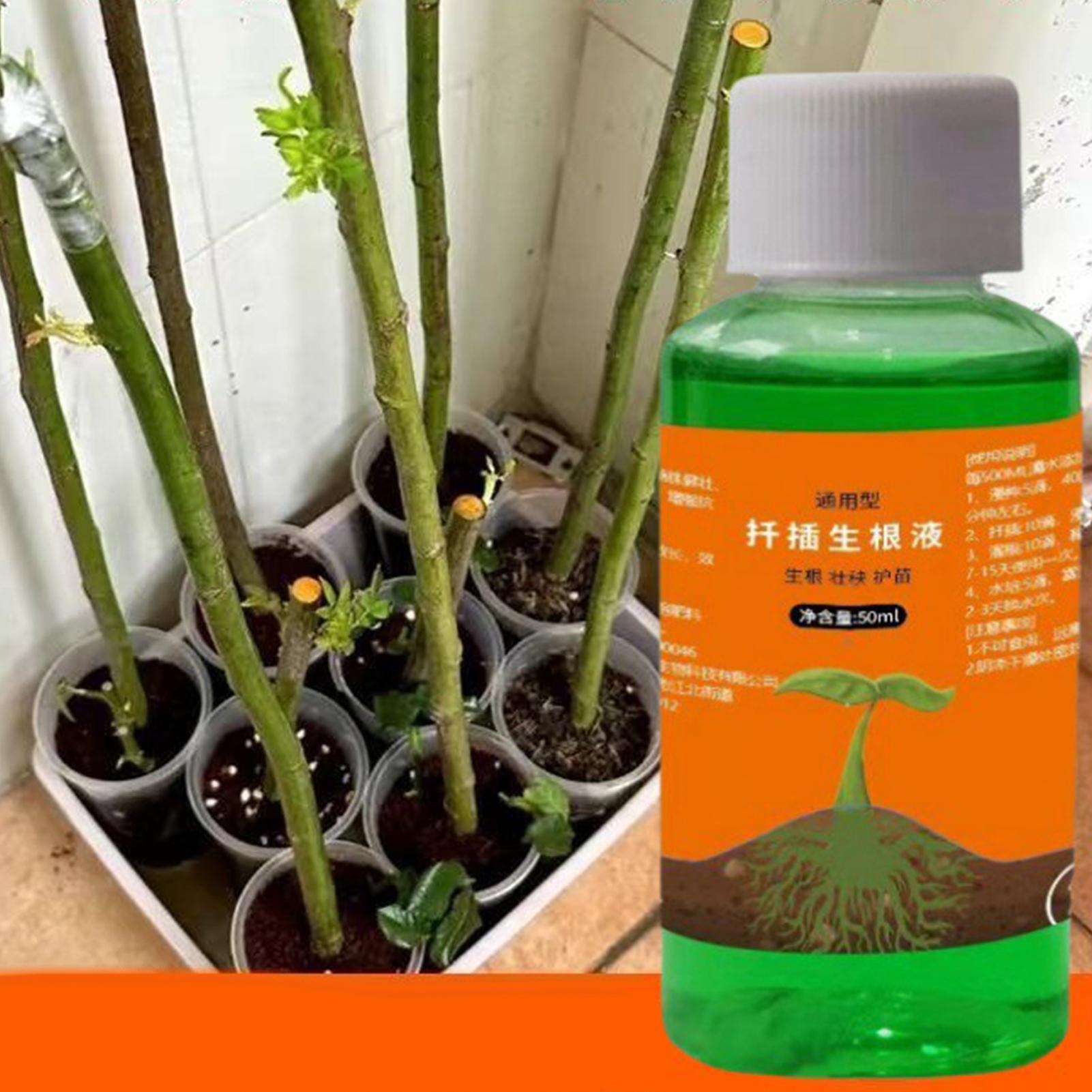 Высокоэффективный стимулятор к – обзор и цена Root Stimulator Liquid